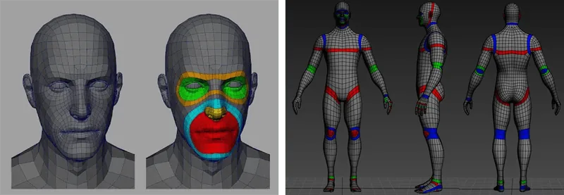 Human head mesh with colored facial edge loops Human body mesh with colored joint and limb loops (source: CMU animation) (source: Pinterest)