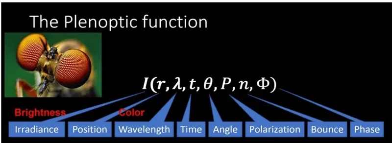 The full plenoptic function. The Polarization, Bounce and Phase arguments are typically left out for simplification. Time is only relevant for non-stationary scenes (Source: History of Neural Radiance Fields).