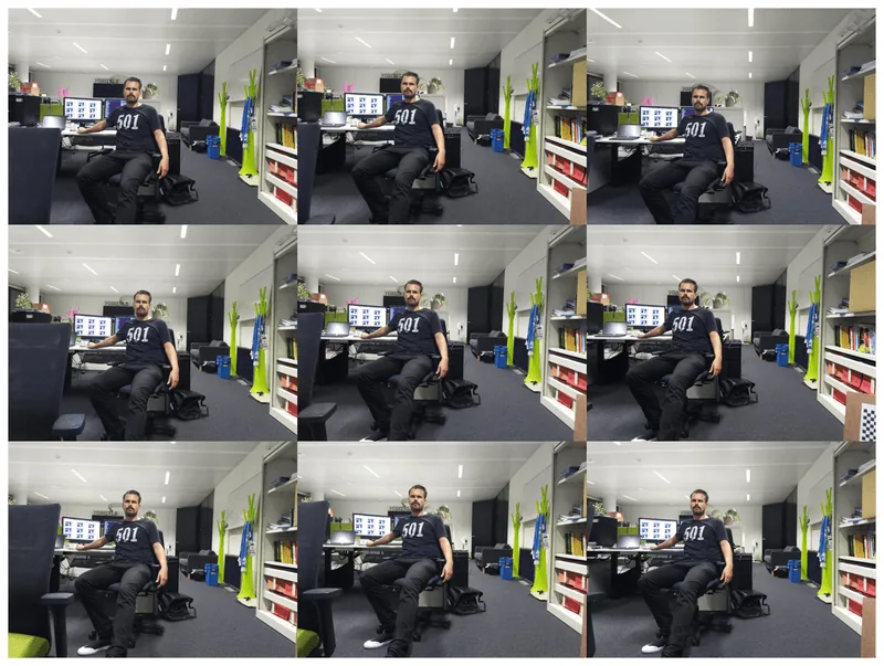 Result of one panel: 9 viewpoints from a single camera plane. Source: Image by the author.