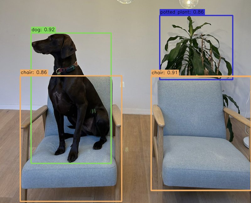 Our office dog Nala sitting on a chair, as detected our own D-Fine model in the DM vision library.